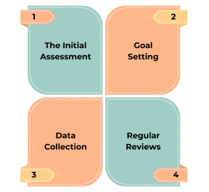 Understanding the Plan From Assessment to Success- Able UK