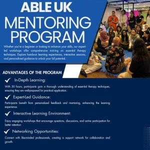 Mentoring program