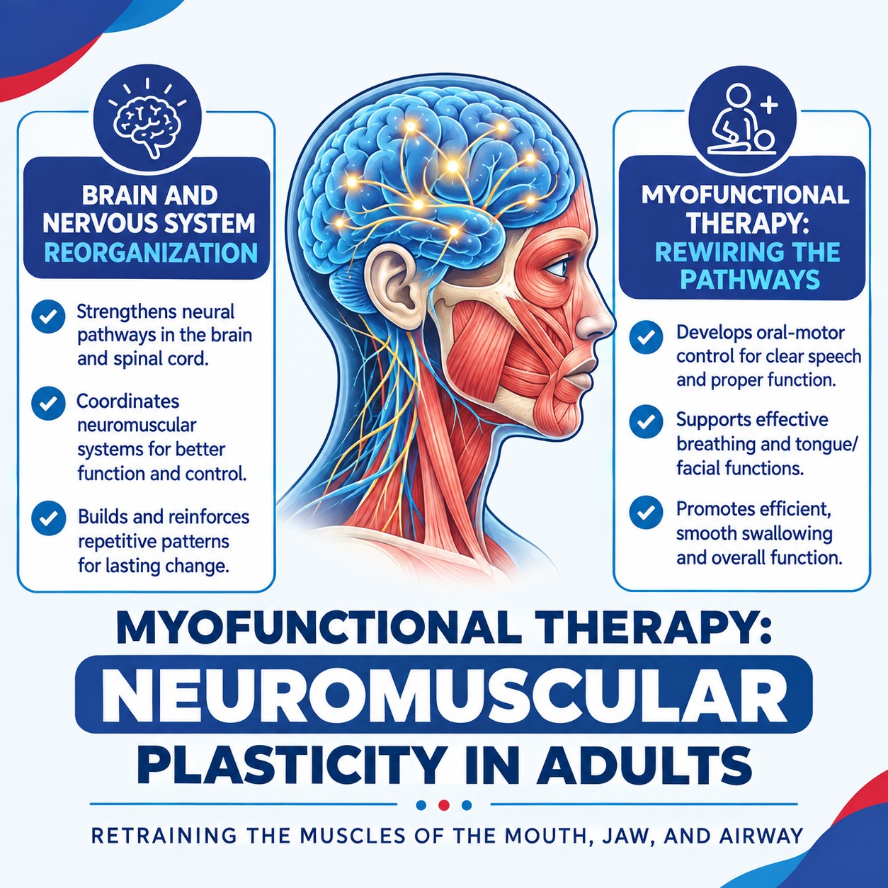 Neuromuscular Plasticity in Adults