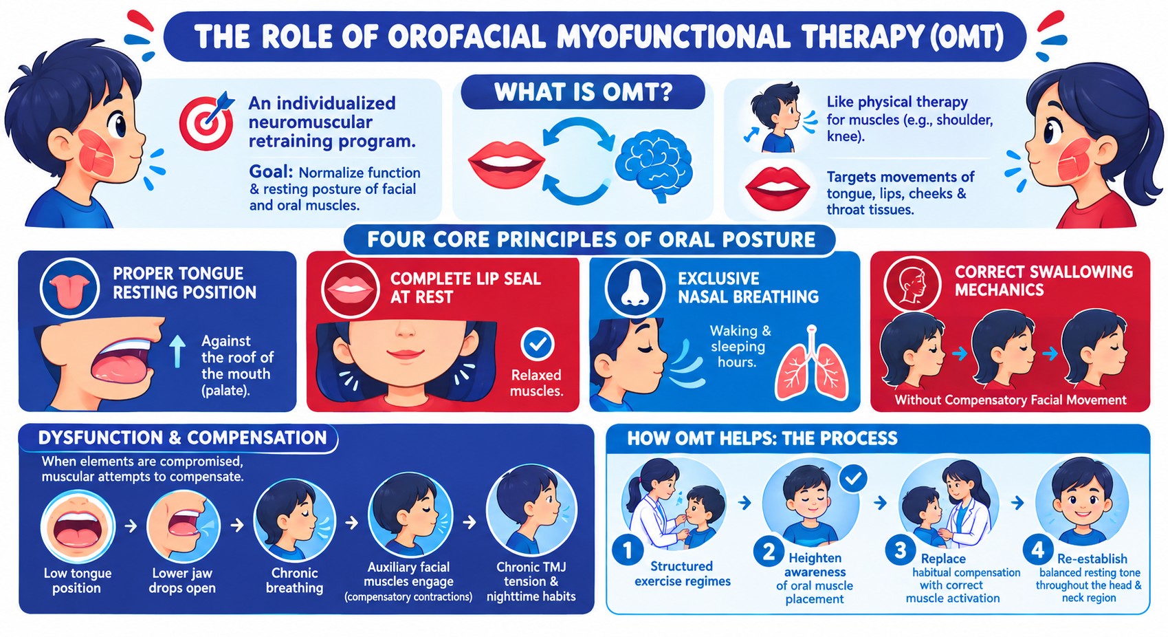 Orofacial Therapy Principles Infographic () Orofacial Therapy Principles Infographic ()