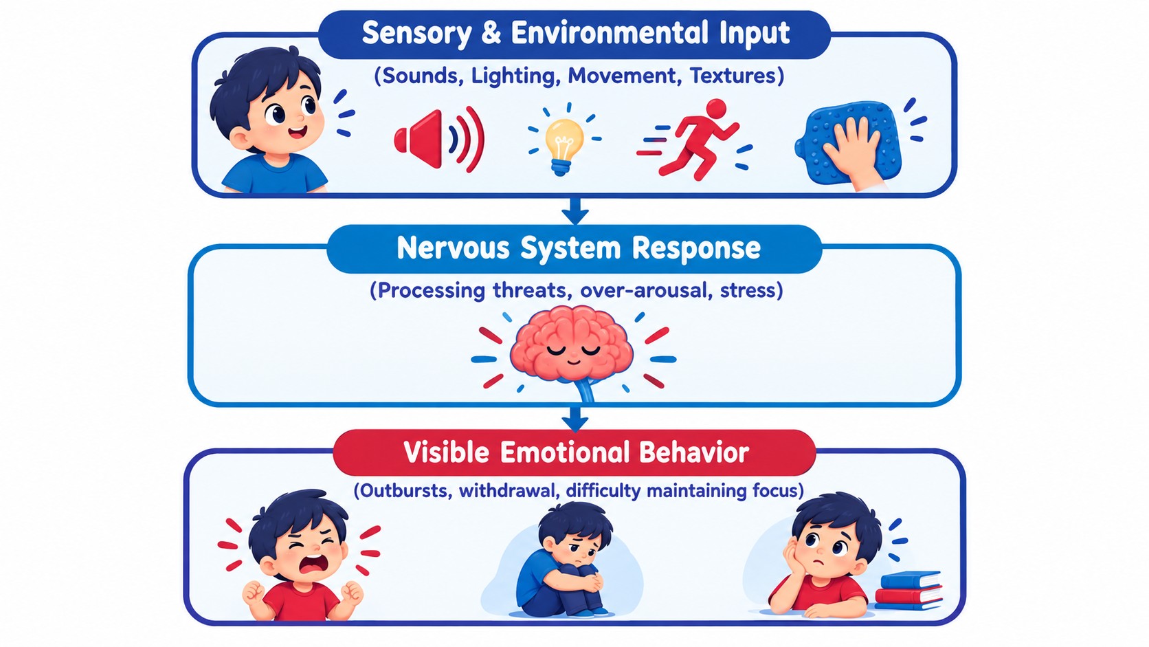 Sensory Input to Emotional Behavior () Sensory Input to Emotional Behavior ()