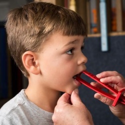 oral plament therapy photo 1